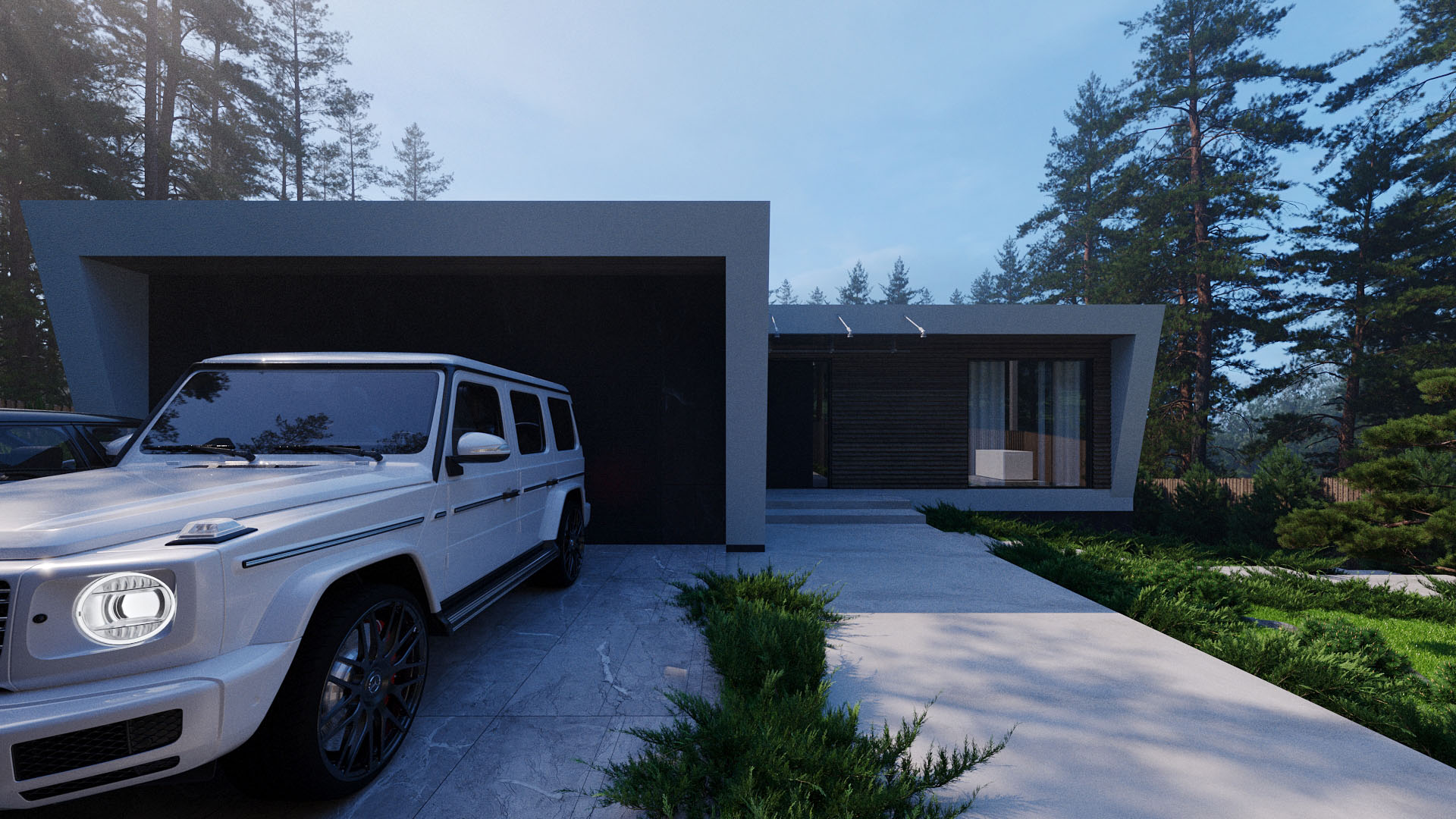 House in a pine forest — архітектура та деталі